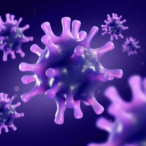 Coronavirus purple