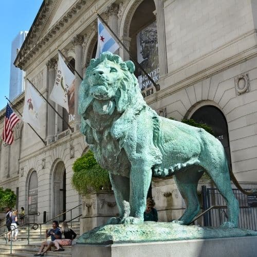 Chicago lion